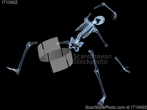 Image of Shattered Skeleton