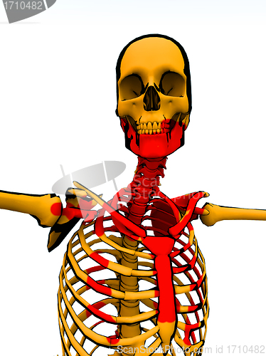 Image of Cartoon Skeleton With Blood 