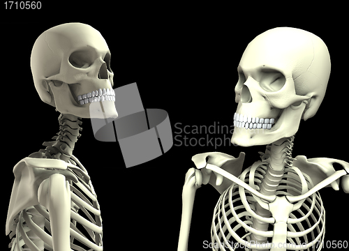 Image of Two Skulls Looking At Each Other