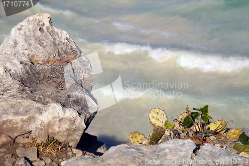 Image of Tulum beach