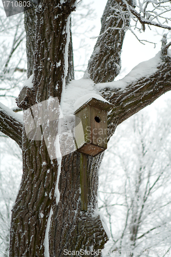 Image of Bird house on the tree in winter