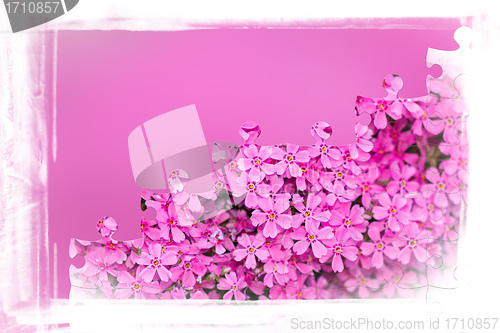 Image of pink flower frame with puzzle of flowers