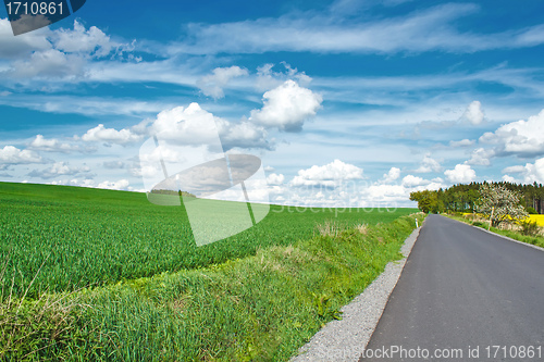 Image of Beautiful summer rural landscape with road