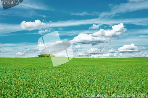 Image of Beautiful summer rural landscape