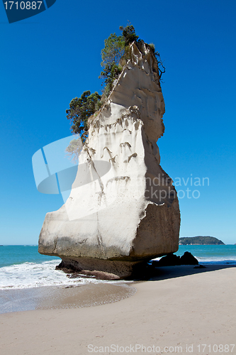 Image of Cliff at Cathedral Cove