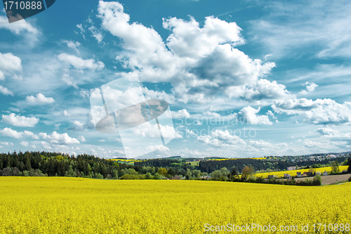 Image of Beautiful summer rural landscape