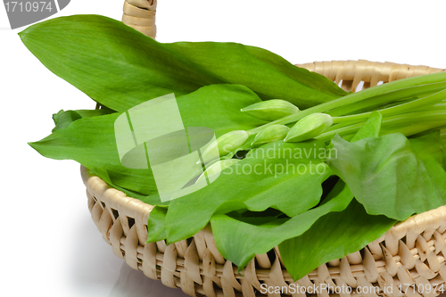 Image of Ramsons in a basket
