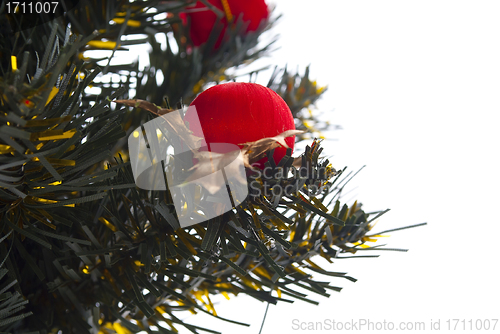 Image of Christmas tree close up