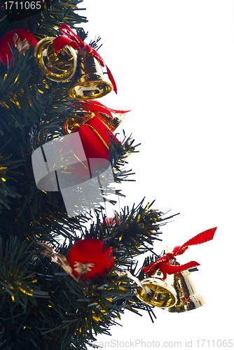 Image of Christmas tree close up