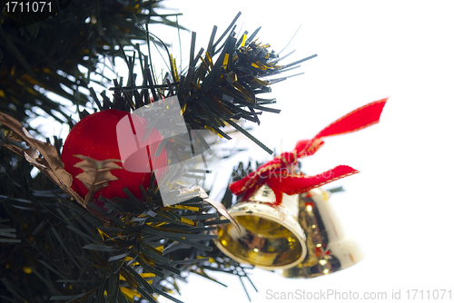 Image of Christmas tree close up