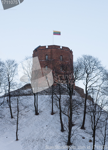 Image of Tower of Gediminas, Vilnius, Lithuania