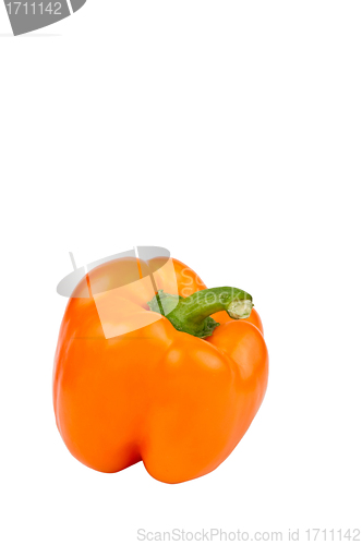Image of Orange Bell Pepper