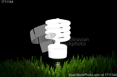 Image of Going Green with light