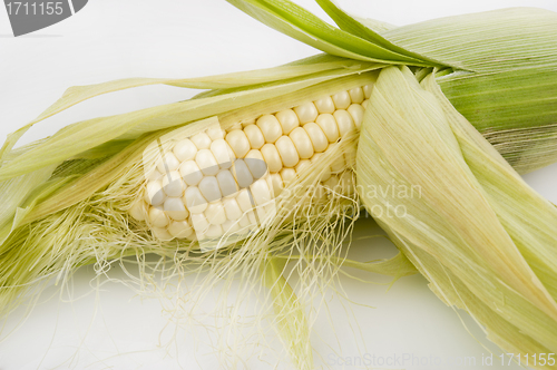 Image of Ear of corn partially shucked