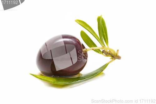 Image of macro of a fresh olives bathed in olive oil