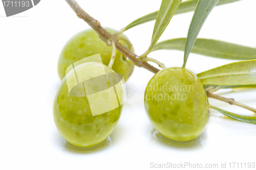 Image of An olive branch with three olives
