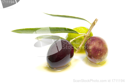 Image of An olive branch with three olives