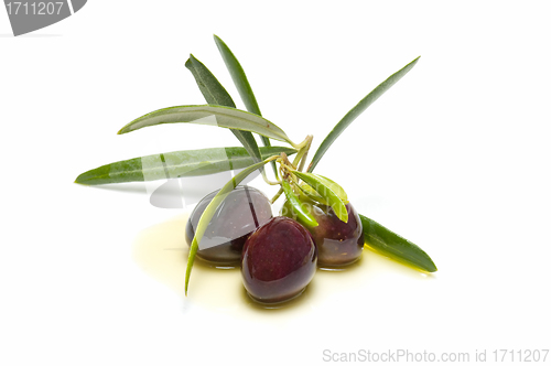 Image of An olive branch with three olives