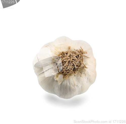 Image of garlic