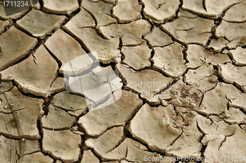 Image of cracked earth
