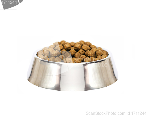 Image of dog food isolated