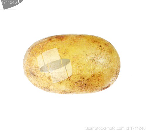 Image of potato isolated on white background close up