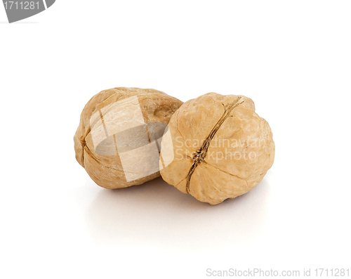 Image of Walnut brown nut closeup on white background