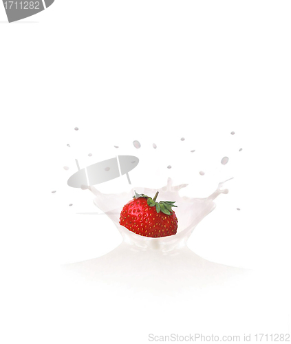 Image of Strawberry falls into milk causing splash and drops