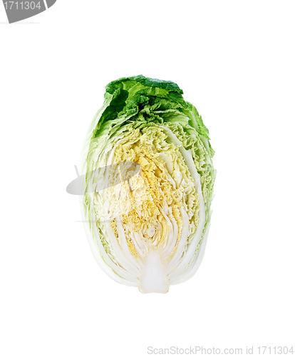 Image of Halved chinese cabbage, clean crossection