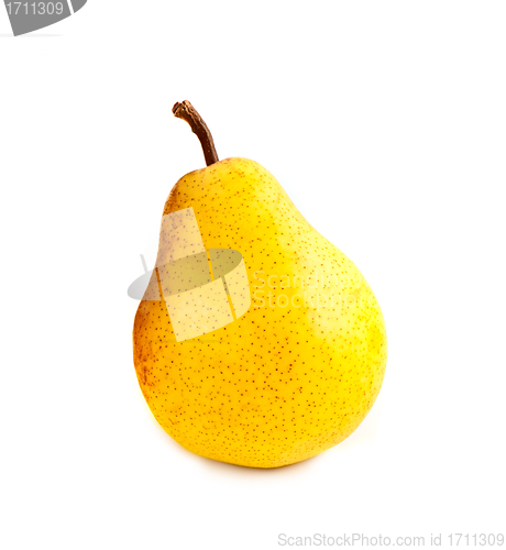 Image of Ripe yellow pear