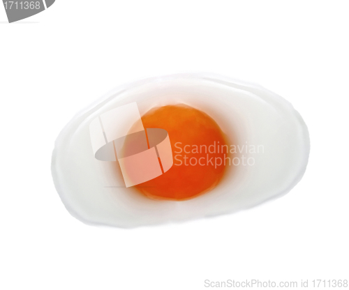 Image of Egg yolk on a white background