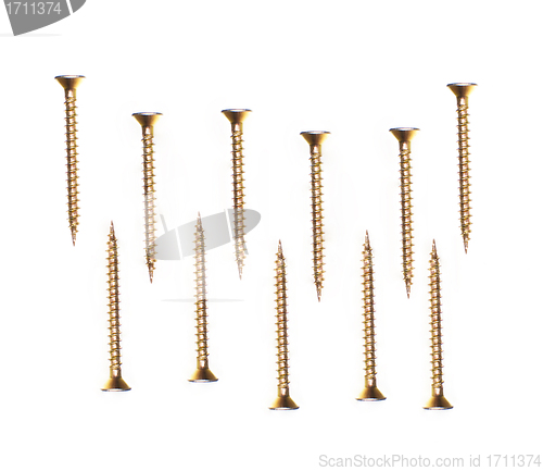 Image of metal screws on a white background