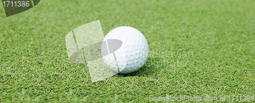 Image of Golf Ball on the Green Grass