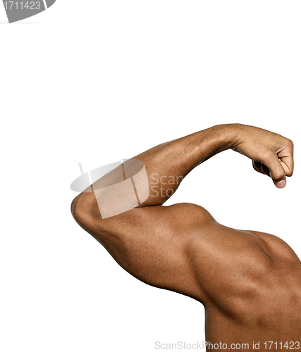 Image of strong biceps on a white background