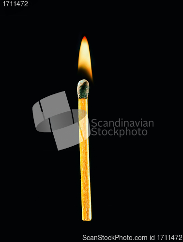 Image of Burning match on a black background