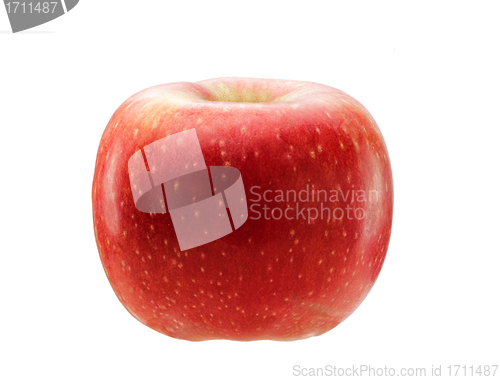 Image of Red apple