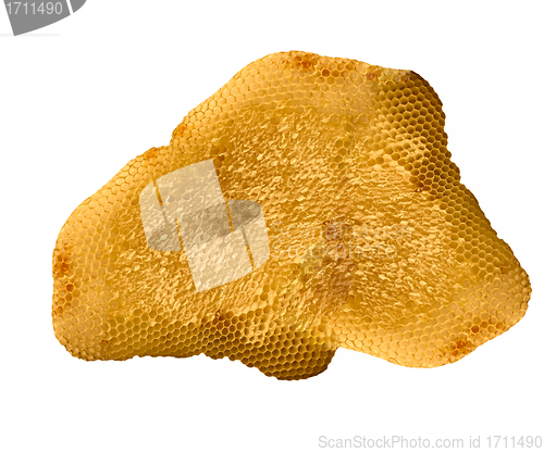 Image of Honeycomb close up