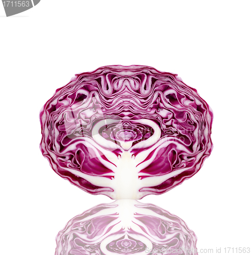 Image of perfect red cabbage