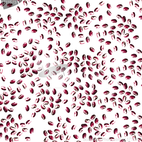 Image of dried beans on white background