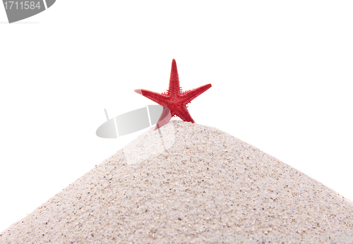 Image of Red Sea star on the white sand beach