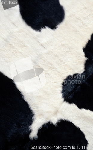 Image of Cow skin texture