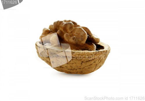 Image of Close up of fresh walnut against white background