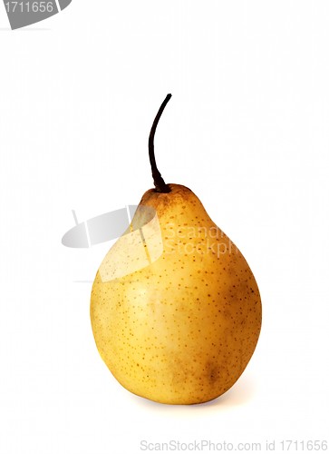 Image of A fresh ripe pear