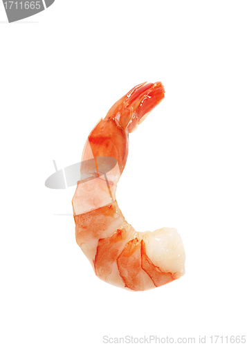 Image of Closeup view of shrimp isolated