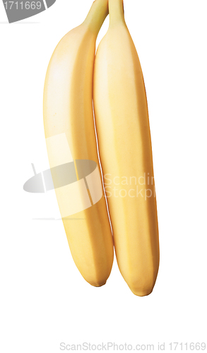 Image of Two mature bananas