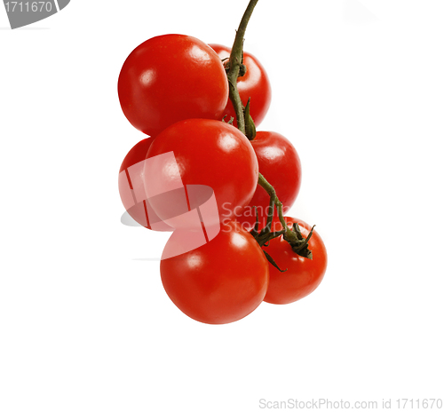 Image of beautiful red tomatoes