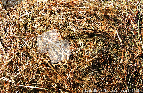 Image of Hay seamless background