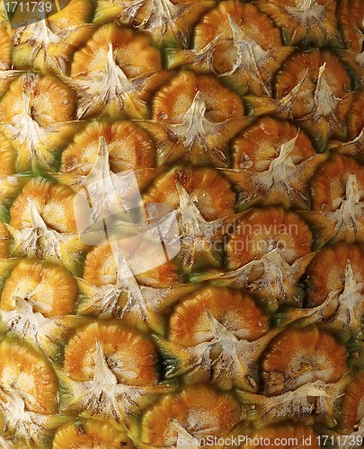 Image of Detail pineapple close-up