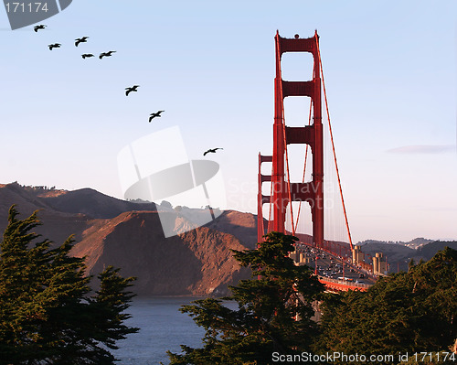 Image of Golden Gate bridge