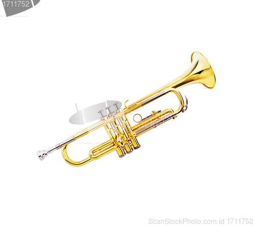 Image of gold lacquer trumpet